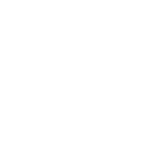 Automotive Manufacturing